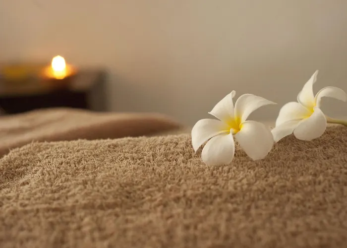 فندق Kamaniiya Petitenget 4*